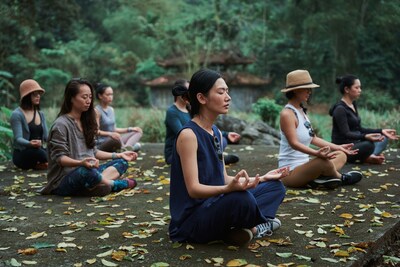The wellness voyage