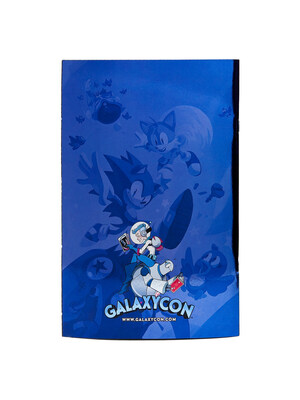 Sonic Cover A (Back)