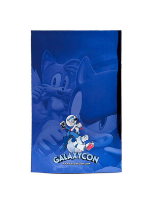 Sonic Cover B (Back)