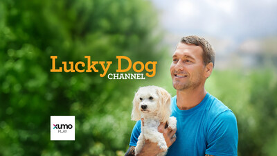 Renowned animal trainer Brandon McMillan appears on the Lucky Dog Channel on Xumo Play