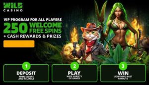 Highest Payout Online Casino 2025 from WildCasino: Announcing the Latest Crypto & Bitcoin Online Casinos for Big Wins