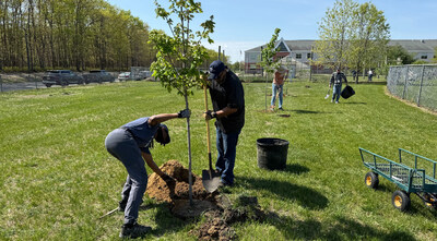 JCP&L volunteers are planting thousands of trees in N.J. in 2025.