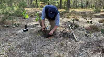 JCP&L volunteers are planting thousands of trees in N.J. in 2025.