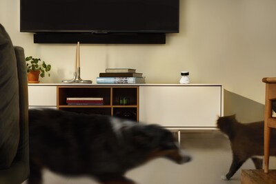 Scout Smart Camera