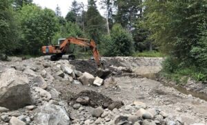 Property owner fined $60,000 for destroying vital fish habitat on Vancouver Island, B.C.