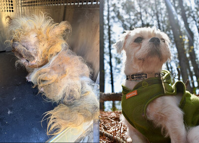 3rd Place: $2,000 – Gizmo