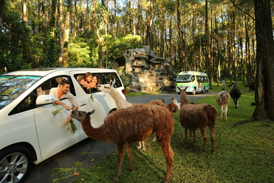 Safari Journey at The Grand Taman Safari Prigen.
