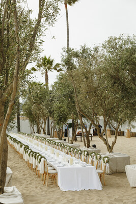 OLIVE TREE PEOPLE created an iconic Olive Grove on the Santa Monica beach to celebrate Waterless Beauty Consultants.
Photo by: Elli Lauren Photo