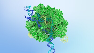Illustration of the CRISPR-Cas9 complex, one of the gene-editing tools developed by the Innovative Genomics Institute. The new Center for Pediatric CRISPR Cures will use CRISPR technology to develop and test personalized treatments for children with rare genetic diseases. | Image courtesy of the Innovative Genomics Institute.