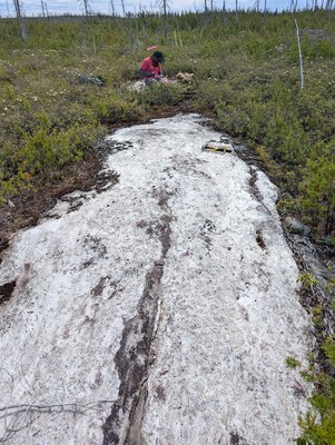 Figure 1: Elmer East – Spodumene-Bearing White Pegmatite Dyke (Sample E6481494 Location) (CNW Group/Comet Lithium Corporation)