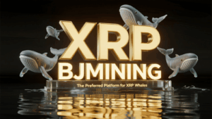 Earn 3,777 XRP Daily! BJMINING Attracts a Surge of XRP Whales