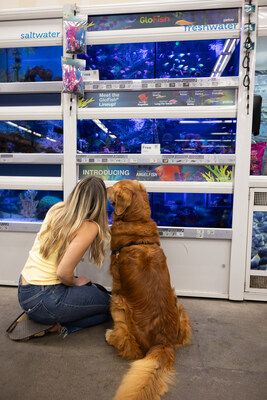 From July 8 through July 13, customers can receive 20% off their entire in-store purchase when they bring their pet into any Petco location nationwide.