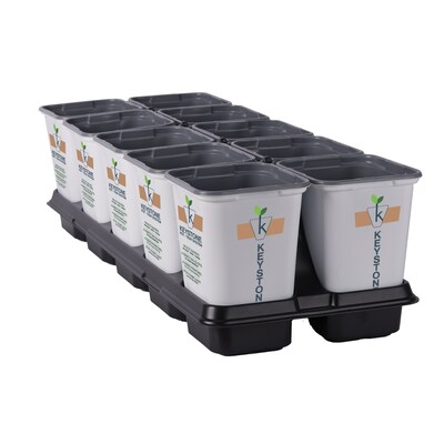 Introducing the Keystone Pot & Tray System by Growscape: Engineered for efficiency, sustainability, seamless automation, and profitability in every shipment.