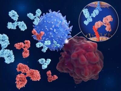 HCB101 is a novel engineered SIRPα-IgG4 Fc fusion protein