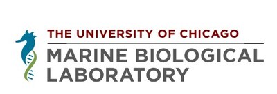 Since 1888, the MBL has hosted thousands of researchers, students and faculty from all over the world. It is precisely this wealth in perspectives and experiences that makes our community unique. For this reason, the lab strives to maintain a welcoming environment where diverse perspectives and experiences are combined with an atmosphere of collaboration and training in efforts to advance scientific inquiry and discovery.