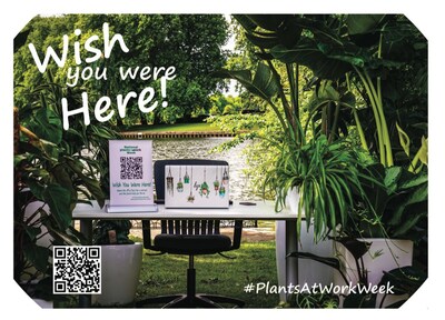 Wish you were here postcard