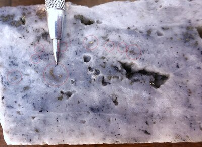 Figure 2: DPDH046 - 504 g/t Au at 522.25m (CNW Group/NGEx Minerals Ltd.)