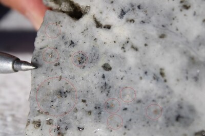 Figure 3: DPDH046 - 504 g/t Au at 522.20m (CNW Group/NGEx Minerals Ltd.)