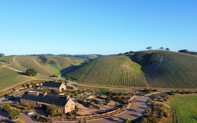 Heart Hill Vineyard