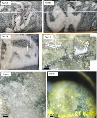 Figure 2. More ginguro band along contact of quartz vein from drill-hole 25RC-34.
Figure 3 and 4. Crustiform-colliform banded quartz veins from drill-hole 25RC-34
Figure 5. Crystal of what is believed to be krennerite from drill-hole 25RC-34
Figure 6. Visible gold grain from approximately 134m in 25RC-34
Figure 7 Visible gold grain from approximately 58 m in 25RC-26 (CNW Group/Northern Shield Resources Inc.)
