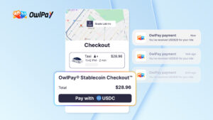 OwlTing Introduces OwlPay® Stablecoin Checkout™ for Global Businesses