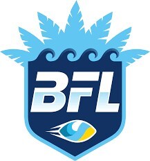 Beach Football League (PRNewsfoto/Beach Football League)