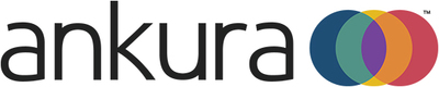 Ankura is defined by HOW we solve challenges. Our expert services focus on designing, developing, and executing solutions for clients, whether they are facing immediate demands, increasing value, or protecting against risks. We create innovative strategies for the ever changing business environment, giving clients unparalleled insight into economic, governance, and regulatory issues. Assembling the right expertise for each client and situation, we know that collaboration drives results.