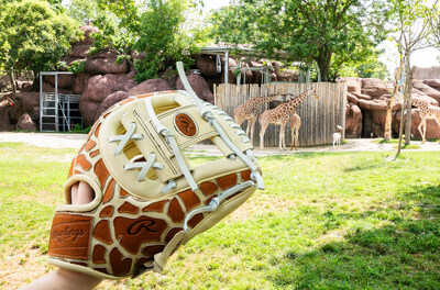 Rawlings x Saint Louis Zoo "1 of 1" Giraffe Deco Glove