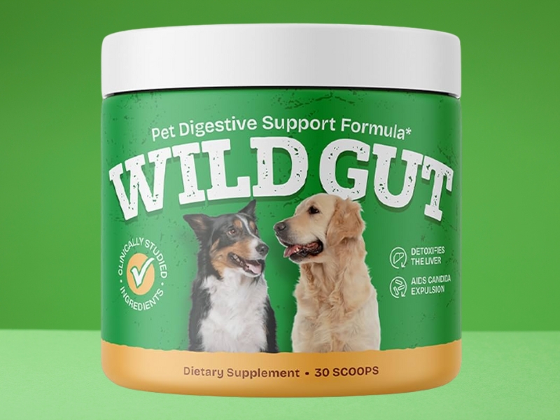 WildGut Pet Supplement Shares Report on Canine Digestive Health Trends and Probiotic Ingredient Transparency (2025)