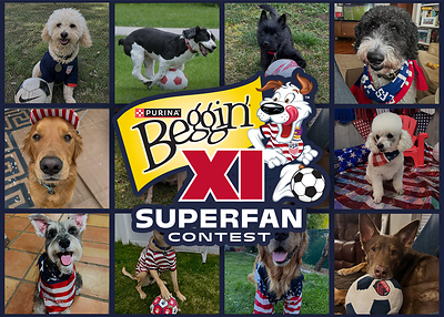 Beggin' XI roster of dog finalists