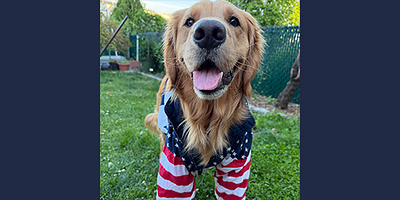 Beggin’ XI’s Top Dog, Hudson from Guttenberg, NJ