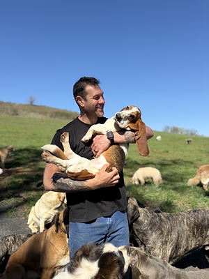Lee Asher and Dogs