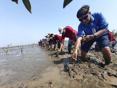 Deepak Group Employees Plant Mangrove saplings at Coastal Mudflats near Dahej, Gujarat