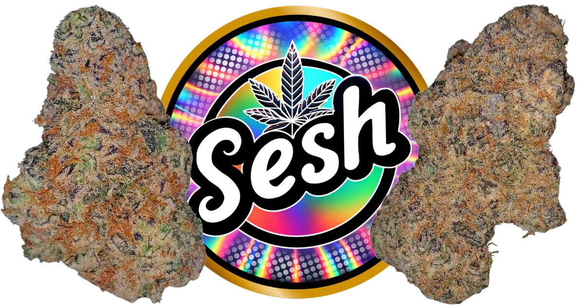 Best Exotic THCa Flower Online Herb.co Names Sherlocks Glass & Dispensary #1 in 2026 National Ranking Sesh by Sherlocks Glass