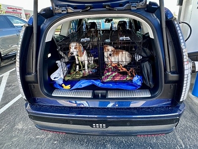 The Hyundai IONIQ 9 Calligraphy is photographed with Operation Frodo rescue dogs in Caldwell, Idaho on June 9, 2026.