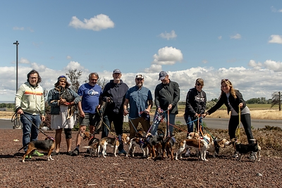 Automotive journalists and industry professionals get Operation Frodo dogs ready for the next leg of their rescue road trip in Stanfield, Ore., on June 10, 2026.
