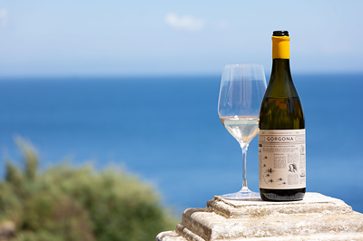 Gorgona 2025 bottle @marchesifrescobaldi