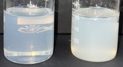 Dextrin Palmitate Transparency Comparison