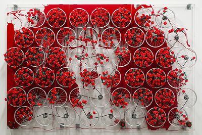 Contemporary artwork gifted to the Tampa Museum of Art by Maureen and Doug Cohn in 2015.
Mabel Poblet (Cuban, b. 1986), Simplemente Bellas (Simply Beautiful), 2013. Mixed media (plastic flowers, bicycle wheels, electric motors) on acrylic panels. 78 ¾ x 118 ⅛ inches.

