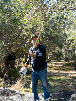 Thomas Lommel, olive tree farmer and OLIVE TREE PEOPLE founder, in one of the company's ECO-certified olive tree groves in Andalusia, Spain.