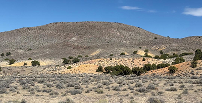 Figure 3 – Lithocap with Gossan-like Structures Hosting Quartz Veins at Mustang North.