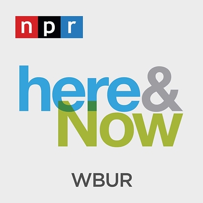 James Nevin, a partner at Brayton Purcell LLP, and countertop fabricator Jeff Rose recently joined James Mastromarino of WBUR’s Here & Now