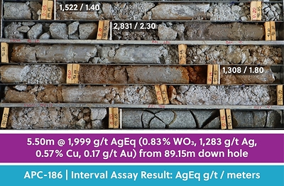 Figure 2: Drill Core Tray Photo from Hole APC-186 Highlighting the High-Grade Silver-Tungsten Mineralization in this Release Figure 2: Drill Core Tray Photo from Hole APC-186 Highlighting the High-Grade Silver-Tungsten Mineralization in this Release