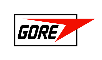 W L Gore and Associates