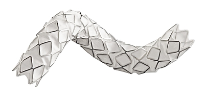 GORE® VIABAHN® VBX Balloon Expandable Endoprosthesis (VBX Stent Graft); Courtesy of W. L. Gore & Associates