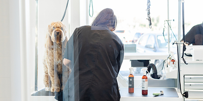 Sparkle Grooming Co. launches its Tampa Bay expansion with a Carrollwood salon opening October 12, led by hometown franchisees Trisha Jordan and Kendal Potesta, who grew up a mile away and whose ownership groups plan five area salons.