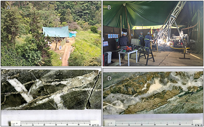 Figure 2 Yarumalito Project 2026 drilling program.  A & B: drill rig set up at Yarumalito Project.
C: YAR-45 drill core from interval 189.0 to 190.5 m depth, grading 1.59 g/t Au, 0.19% Cu & 3.6 g/t Ag.
D: YAR-45 drill core from interval 184.9 to 185.6 m depth, grading 1.07 g/t Au, 0.20% Cu & 8.8 g/t Ag.