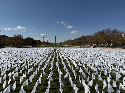 Flags on the National Mall for Lung Cancer Awareness Month