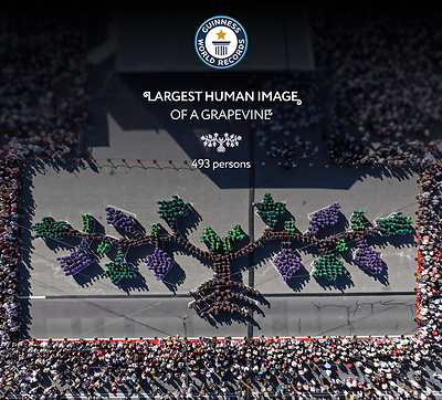 The world’s largest human grapevine, created by Wine of Moldova (WOM) during Moldova’s National Wine Day 2026 and officially recognized by Guinness World Records.
