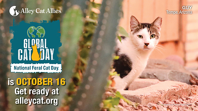 Alley Cat Allies' Global Cat Day and National Feral Cat Day Friday October 16 both created by Alley Cat Allies, the leader of the global movement to protect cats and kittens. Alley Cat Allies' Global Cat Day and National Feral Cat Day Friday October 16 both created by Alley Cat Allies, the leader of the global movement to protect cats and kittens.